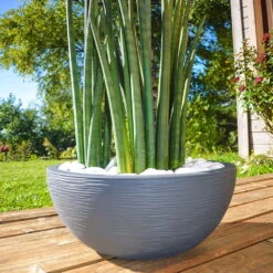 Pflanzschale Graphit Ella Anthrazit 10 Pflanzschale Graphit Ella Anthrazit -Pflanzen Geschäft 3210103482 Pflanzschale Graphit Ella anthrazit 40x16 5cm 14 9l 01 48317