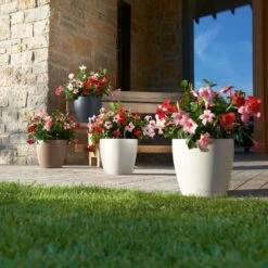 LECHUZA Pflanzgefäß 'Classico Color 70', Grau, Ø 70 X H 64,5 Cm -Pflanzen Geschäft 3210103919 Pflanzgefaess Classico Color 60 All in 1 schiefergrau 3 109198 1