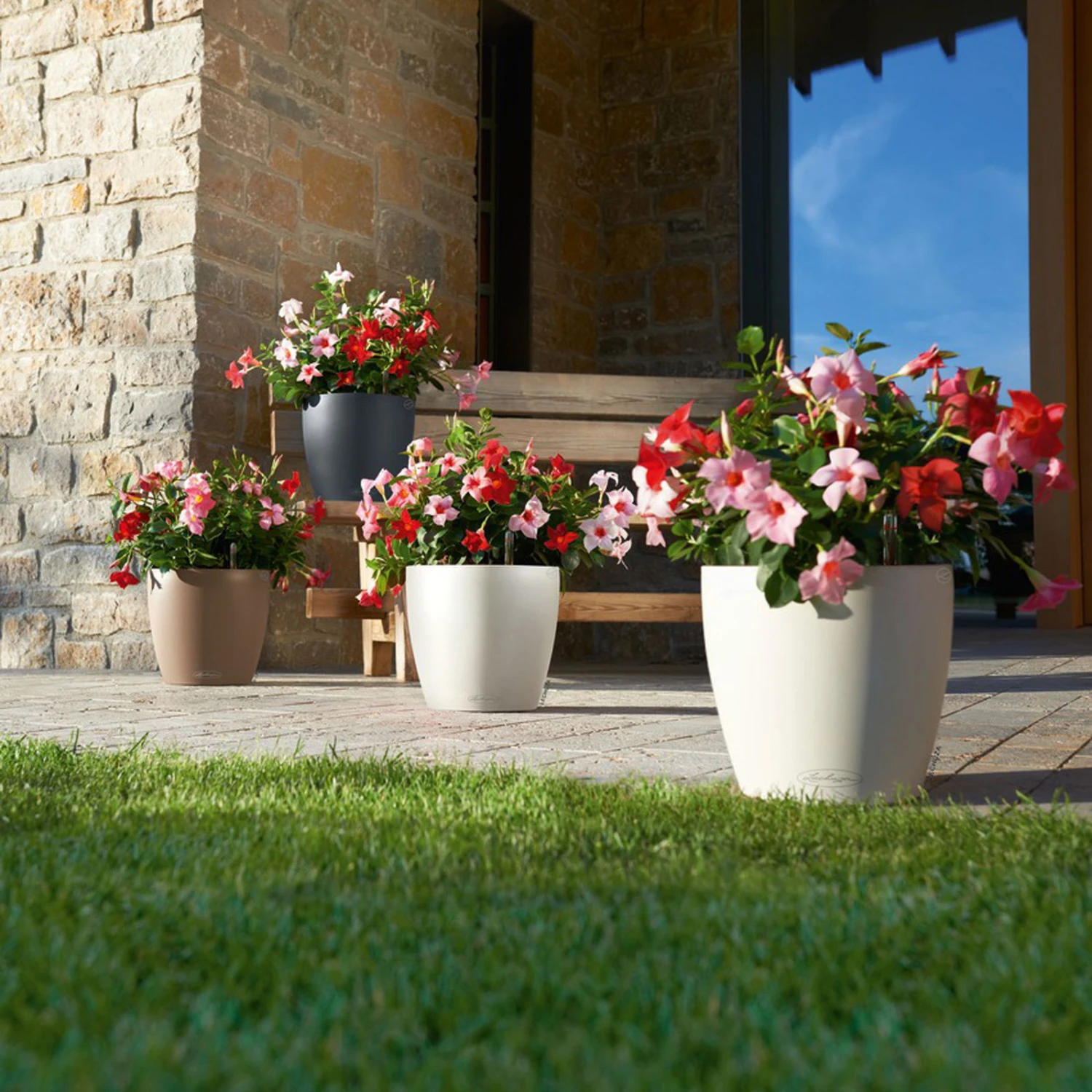 LECHUZA Pflanztopf 'Classico Color 60', Grau, Ø 60 X H 55,5 Cm 5 LECHUZA Pflanztopf 'Classico Color 60', Grau, Ø 60 X H 55,5 Cm – Bild 3