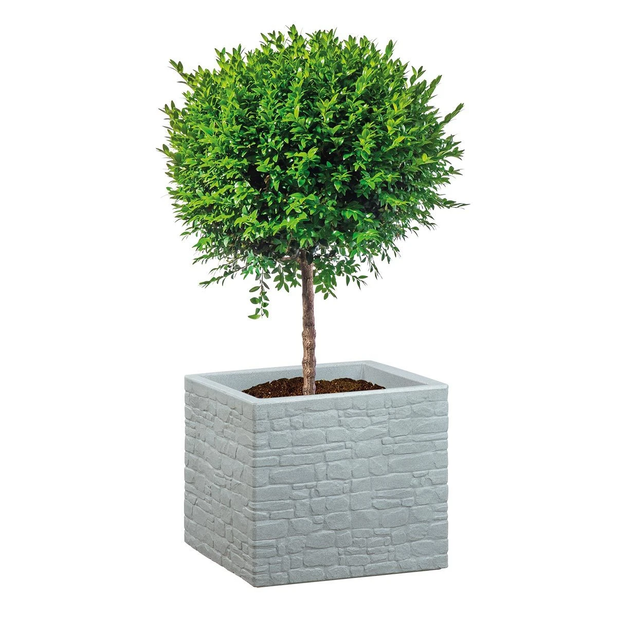 Pflanzgefäß 'Muretto', Grau, L 29 X B 29 X H 27 Cm 3 Pflanzgefäß 'Muretto', Grau, L 29 X B 29 X H 27 Cm