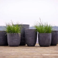 Pflanzgefäß 'Rib', Grau -Pflanzen Geschäft 3210104122 3210104123 3210104124 3210104125 pflanzgefaess rib smooth 116915