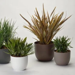 Pflanzkübel 'Rio', Weiß, Ø 39 X H 32,5 Cm -Pflanzen Geschäft 3210104130 3210104131 3210104132 3210104133 pflanzkuebel rio 122622