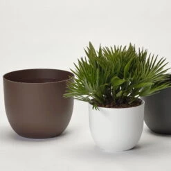 Pflanzkübel 'Rio', Weiß, Ø 39 X H 32,5 Cm -Pflanzen Geschäft 3210104130 3210104131 3210104132 pflanzkuebel rio 1 122626