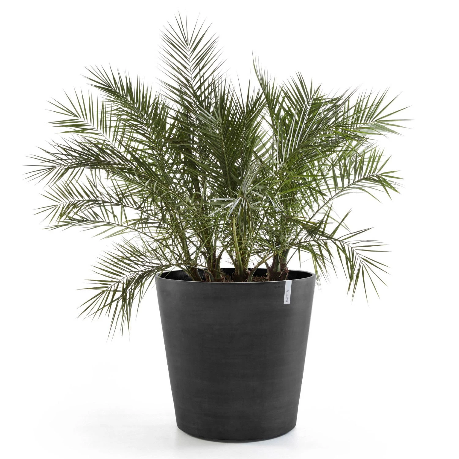 Pflanzgefäß 'Amsterdam', Dunkelgrau, Ø 60 X H 56 Cm 4 Pflanzgefäß 'Amsterdam', Dunkelgrau, Ø 60 X H 56 Cm – Bild 2