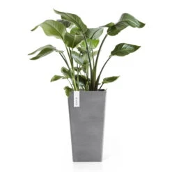 Pflanzgefäß 'Rotterdam MidHigh', Grau, Ø 31 X H 56 Cm 5 Pflanzgefäß 'Rotterdam MidHigh', Grau, Ø 31 X H 56 Cm -Pflanzen Geschäft 3210104152 pflanzgefaess rotterdam midhigh 2 117468