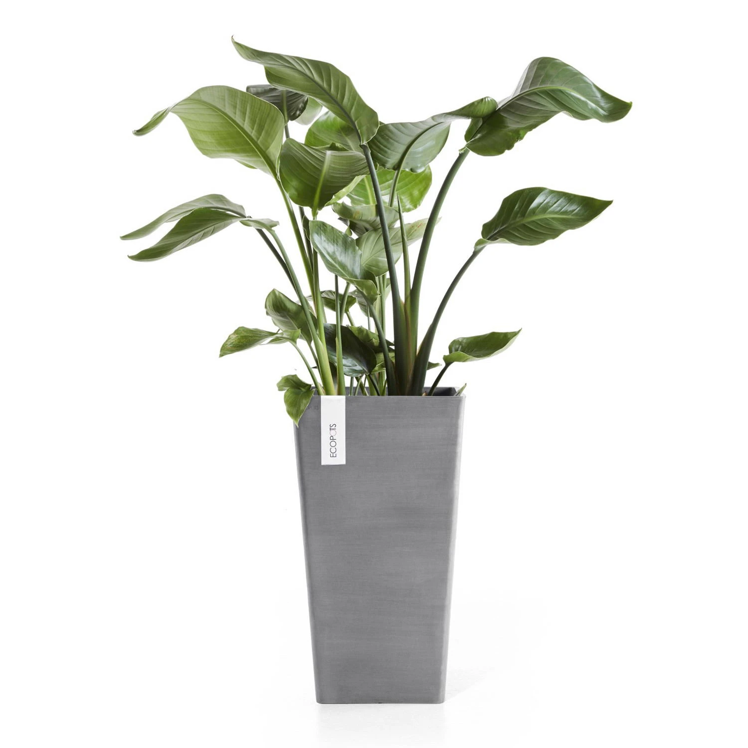 Pflanzgefäß 'Rotterdam MidHigh', Grau, Ø 31 X H 56 Cm 4 Pflanzgefäß 'Rotterdam MidHigh', Grau, Ø 31 X H 56 Cm – Bild 2