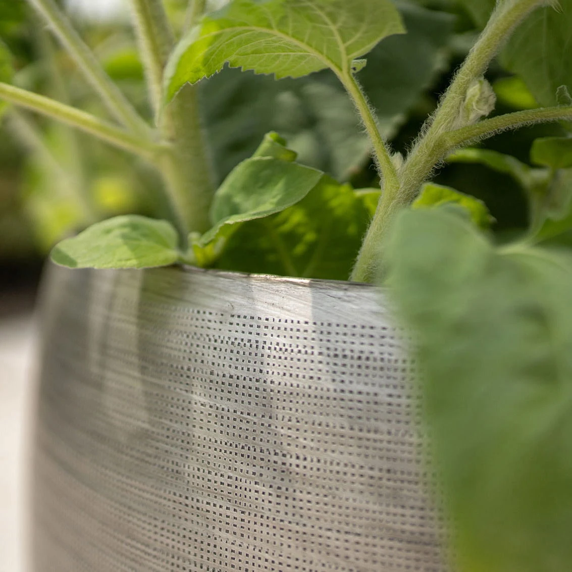 Pflanzgefäß 'Rowen', Silber, Ø 50 X H 47 Cm 4 Pflanzgefäß 'Rowen', Silber, Ø 50 X H 47 Cm – Bild 2