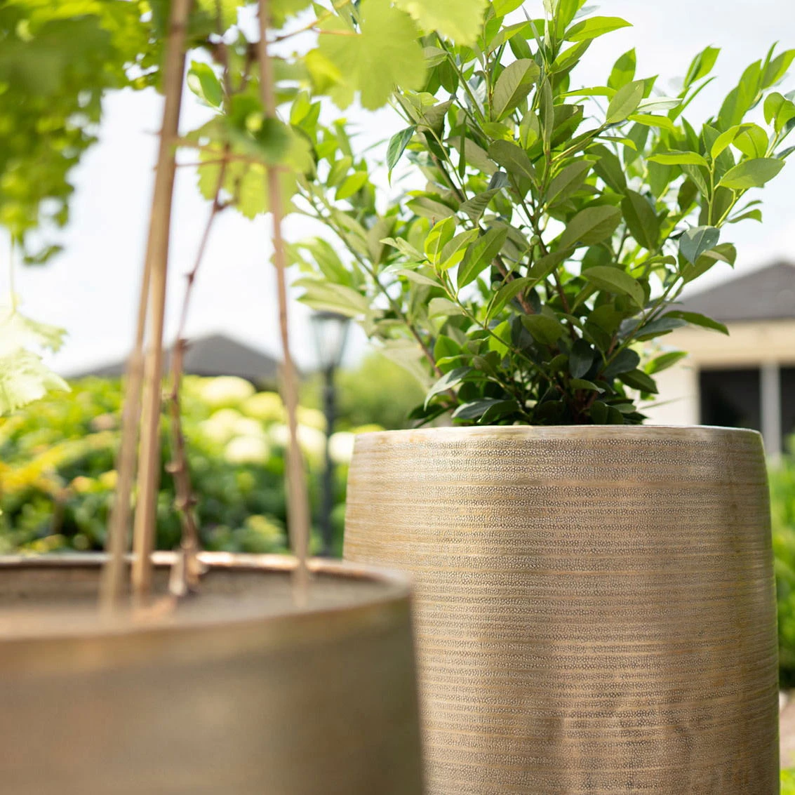 Pflanzgefäß 'Rowen', Gold, Ø 31 X H 55 Cm 10 Pflanzgefäß 'Rowen', Gold, Ø 31 X H 55 Cm – Bild 8