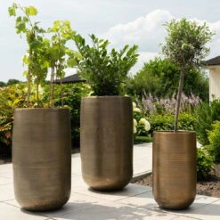 Pflanzgefäß 'Rowen', Gold, Ø 31 X H 55 Cm 12 Pflanzgefäß 'Rowen', Gold, Ø 31 X H 55 Cm -Pflanzen Geschäft 3210801630 3210801631 3210801632 3210801633 Pflanzgefaess Rowen gold 8 115020