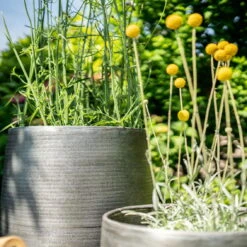 Pflanzgefäß 'Rowen', Silber, Ø 41 X H 72 Cm -Pflanzen Geschäft 3210801635 3210801636 3210801637 3210801638 Pflanzgefaess Rowen silber 12 115029