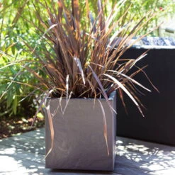 Pflanztrog 'Volcania Dado', Anthrazit, L 39,5 X B 39,5 X H 43,5 Cm -Pflanzen Geschäft 3230101084 Pflanztrog Volcania Dado anthrazit 39x39xH43cm 31Ltr6 75428