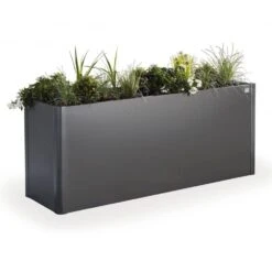 Biohort Pflanzbeet "Belvedere", Verzinktes Stahlblech, Zeitloses Design, Einlegeboden 8 Biohort Pflanzbeet "Belvedere", Verzinktes Stahlblech, Zeitloses Design, Einlegeboden -Pflanzen Geschäft 3230600061 Pflanzbeet Belvedere M dunkelgraumetallic3 65053