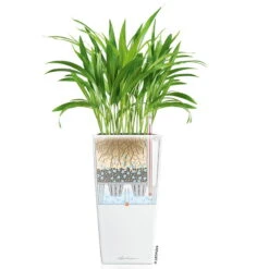 LECHUZA Cubico Premium 40, Weiß Hochglanz, All-in-One-Set, 40 X 40, H:75 Cm 8 LECHUZA Cubico Premium 40, Weiß Hochglanz, All-in-One-Set, 40 X 40, H:75 Cm -Pflanzen Geschäft 3325100114 CubicoPremium22 weiss All in One Set 22x22x41cm RGB 7573 1