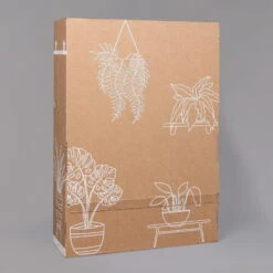 Usambaraveilchen In Keramiktopf Dallas Weiß, Rot, Topf-Ø 12 Cm, 3er-Set -Pflanzen Geschäft B2 02 Karton Sets mit Keramik 1 126161 1