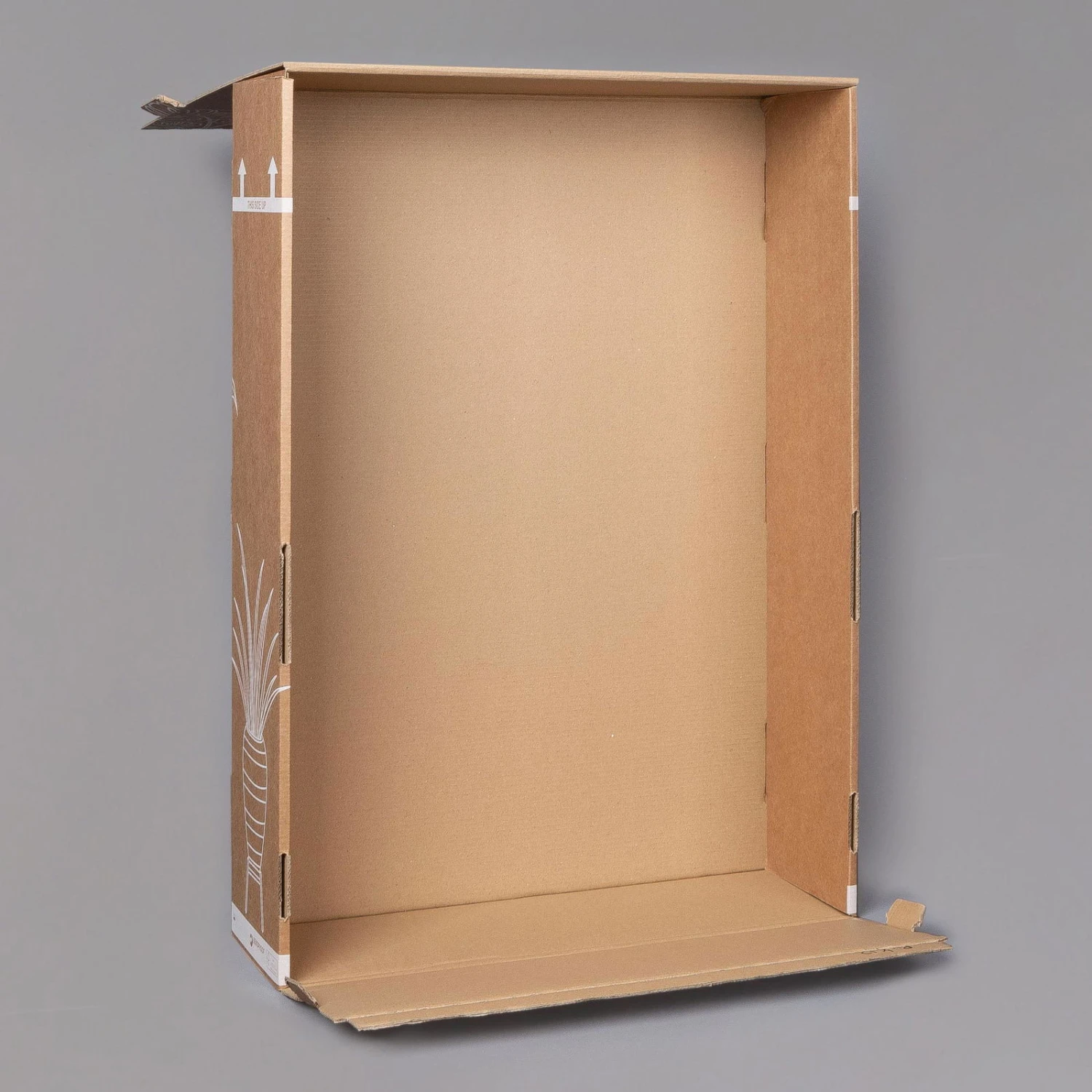 Dreimasterblume In Keramiktopf Anthrazit, N. Verfügbarkeit, Topf-Ø 12cm, 3er-Set 8 Dreimasterblume In Keramiktopf Anthrazit, N. Verfügbarkeit, Topf-Ø 12cm, 3er-Set – Bild 6