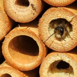 Insektenhotel Mit Schrägdach, Natur, Holz. Bambus, 28 X 9 X 38 Cm, 2,19 Kg -Pflanzen Geschäft insektenhotel biene 117841