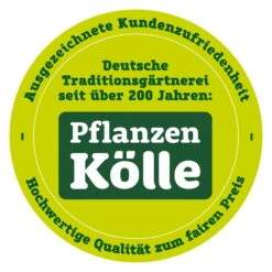 Bleistiftstrauch, Topf-Ø 13 Cm, Höhe Ca. 28 Cm, 2er-Set -Pflanzen Geschäft qualitaetssiegel pflanzen koelle 3000x3000 70847 397